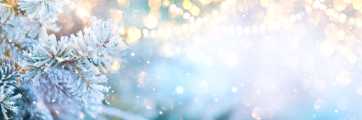 Weihnachten / Neujahr